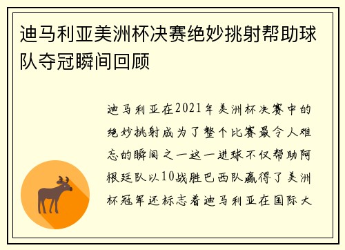 迪马利亚美洲杯决赛绝妙挑射帮助球队夺冠瞬间回顾